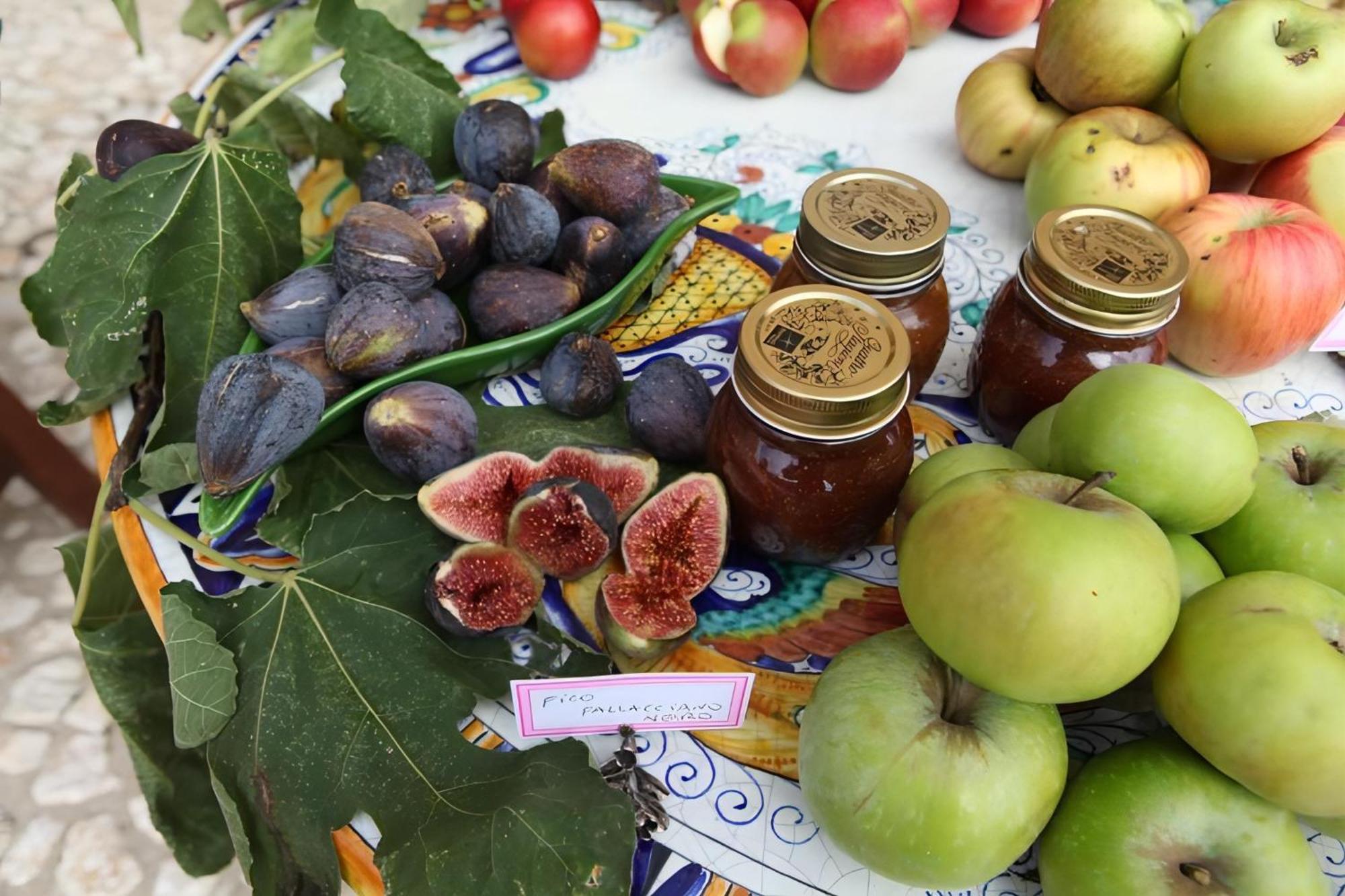 Tenuta Del Gallo أميليا المظهر الخارجي الصورة