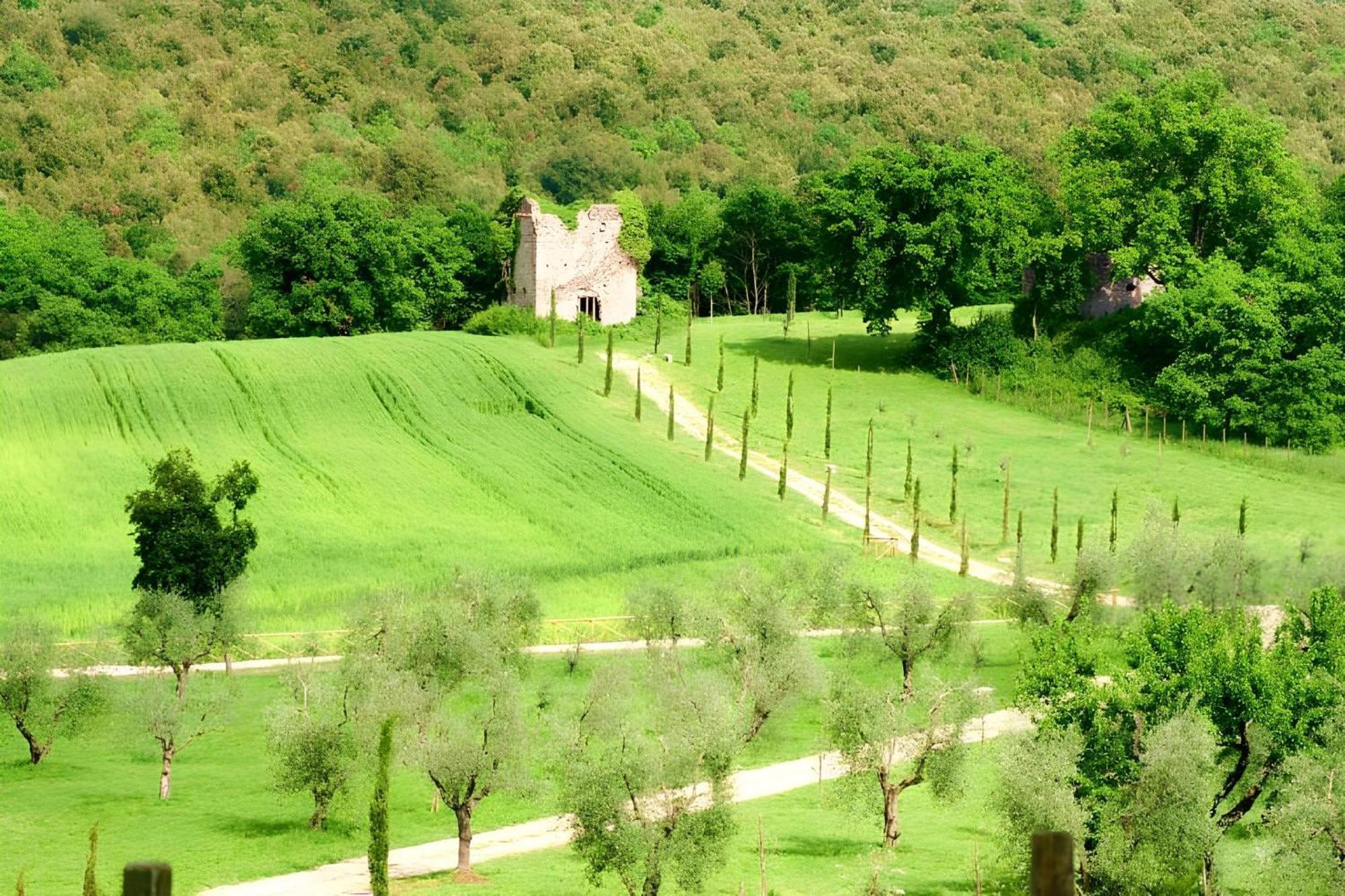 Tenuta Del Gallo أميليا المظهر الخارجي الصورة